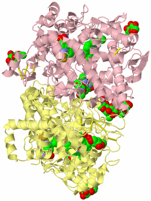 Image Biological Unit 2