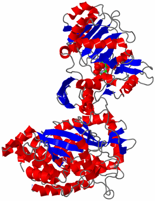 Image Asym. Unit - sites