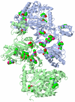 Image Asym./Biol. Unit