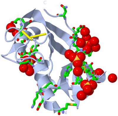 Image Biol. Unit 1 - sites