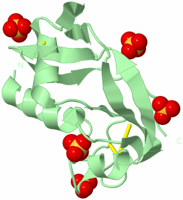 Image Biological Unit 2