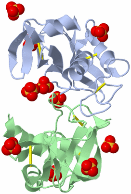 Image Biological Unit 3