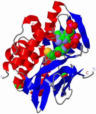 Image Asym./Biol. Unit