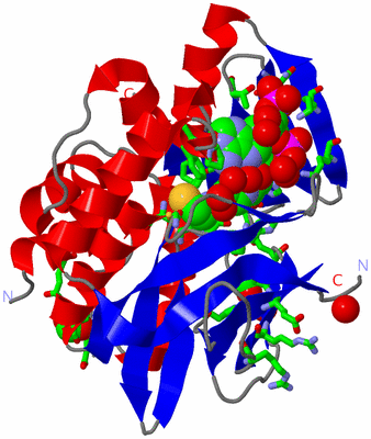 Image Asym./Biol. Unit - sites