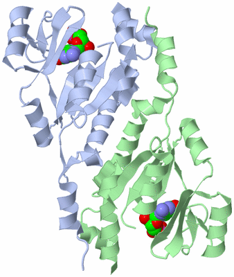 Image Asym./Biol. Unit