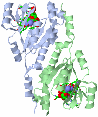 Image Asym./Biol. Unit - sites