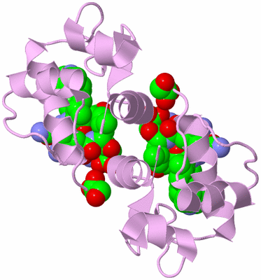 Image Biological Unit 2