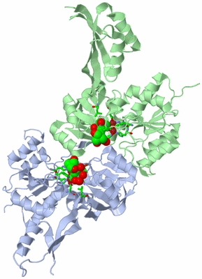 Image Asym. Unit - sites