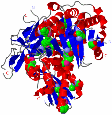 Image Asym./Biol. Unit