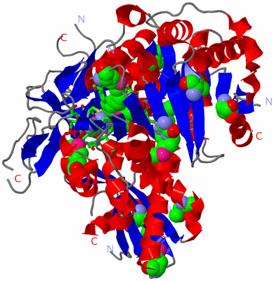 Image Asym./Biol. Unit - sites