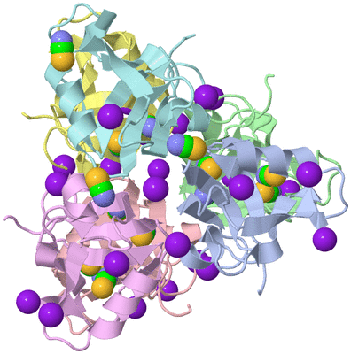 Image Asym./Biol. Unit