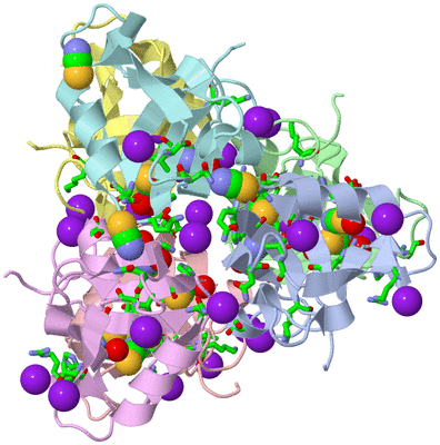 Image Asym./Biol. Unit - sites