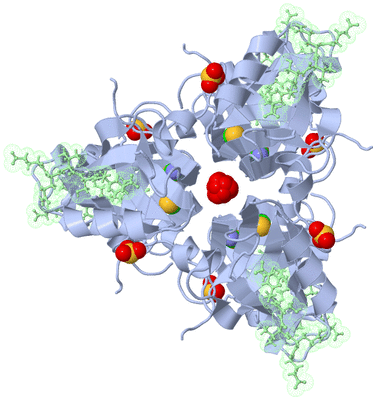 Image Biological Unit 1