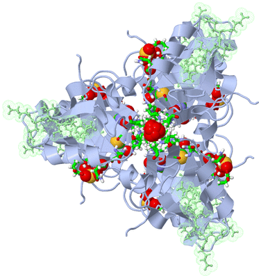 Image Biol. Unit 1 - sites