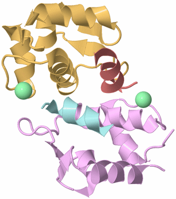 Image Biological Unit 3