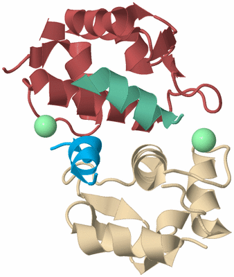 Image Biological Unit 4