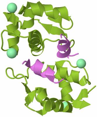 Image Biological Unit 5