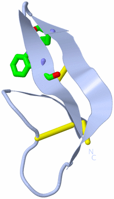 Image Biol. Unit 1 - sites