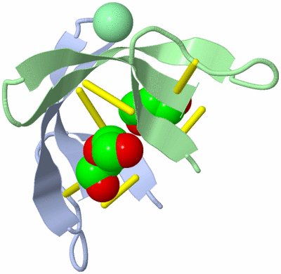 Image Biological Unit 3