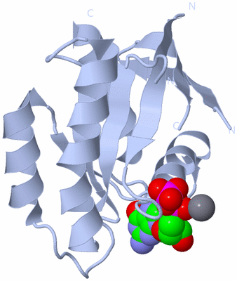 Image Biological Unit 1