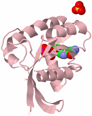 Image Biological Unit 2