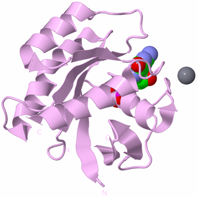 Image Biological Unit 3