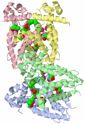 Image Asymmetric Unit