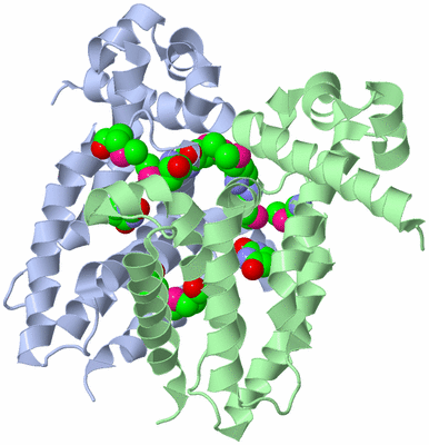 Image Biological Unit 1