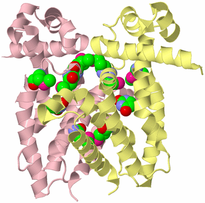 Image Biological Unit 2