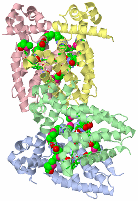 Image Asym. Unit - sites