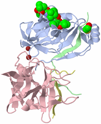 Image Biological Unit 1