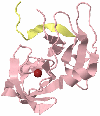 Image Biological Unit 3