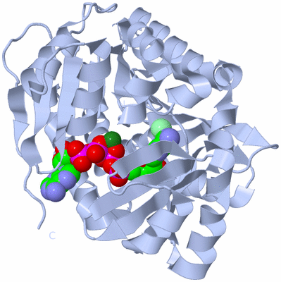 Image Biological Unit 1