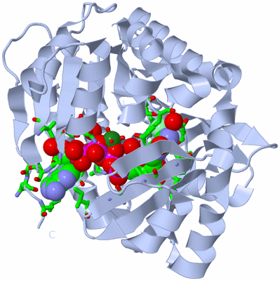 Image Biol. Unit 1 - sites