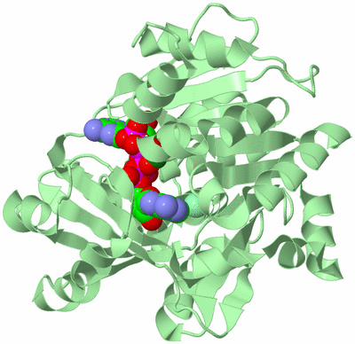 Image Biological Unit 2