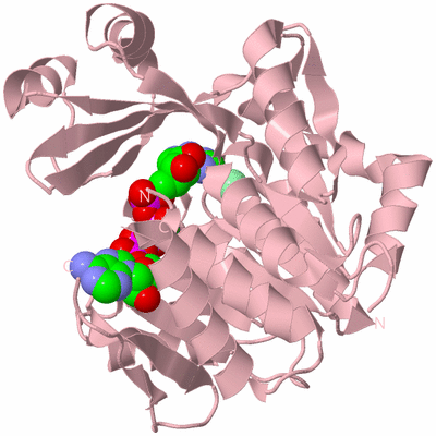 Image Biological Unit 3