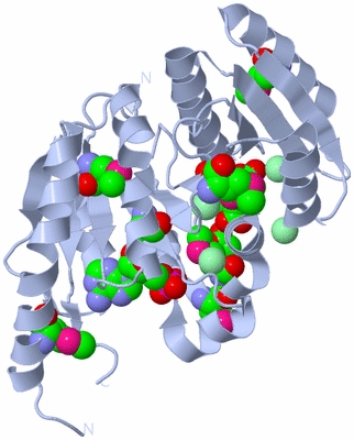 Image Biological Unit 1