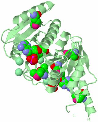 Image Biological Unit 2