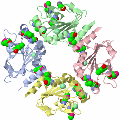 Image Asym./Biol. Unit