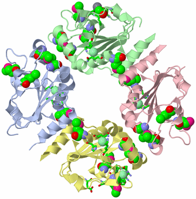 Image Asym./Biol. Unit - sites