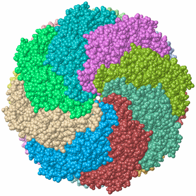 Image Asym./Biol. Unit