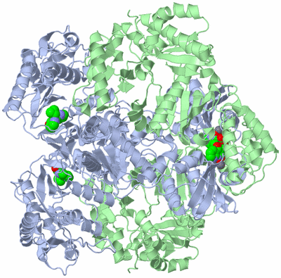 Image Biological Unit 2