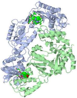 Image Asym. Unit - sites