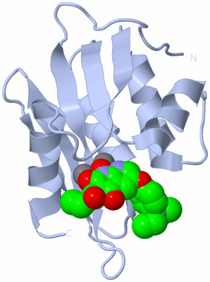 Image Biological Unit 1