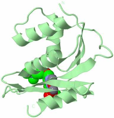 Image Biological Unit 2