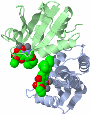 Image Biological Unit 3