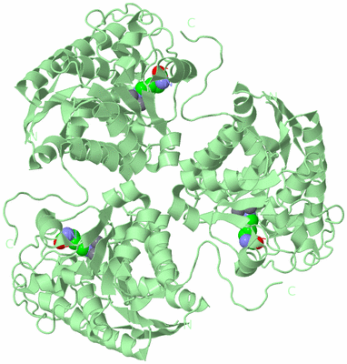 Image Biological Unit 2