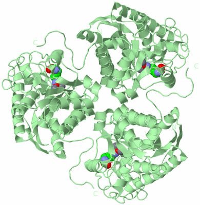 Image Biological Unit 2