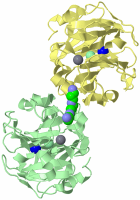 Image Biological Unit 2