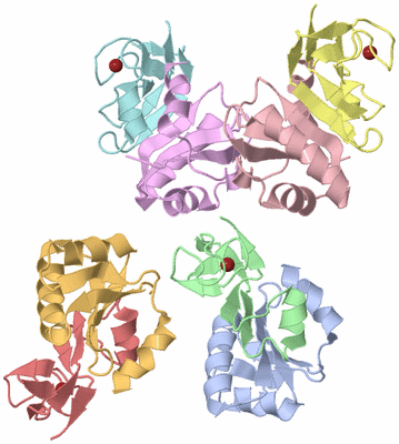 Image Asymmetric Unit